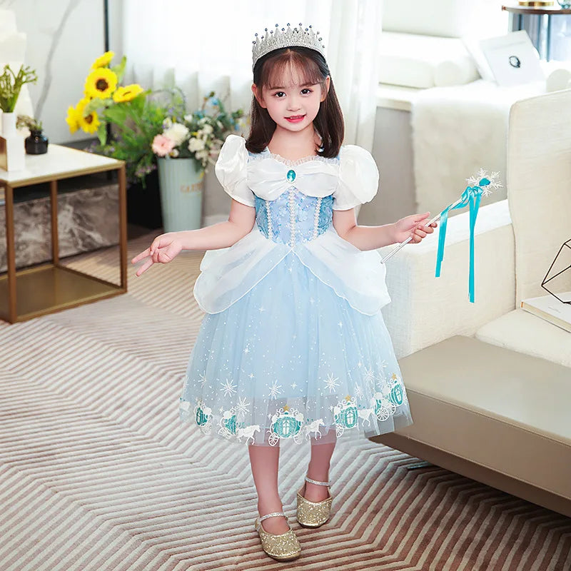 Cinderella Princess Girls Costume for Kids