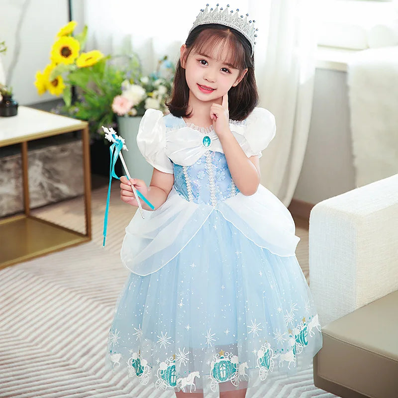 Cinderella Princess Girls Costume for Kids